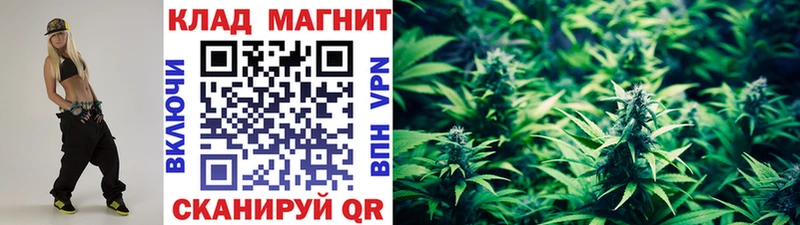 APVP Киреевск
