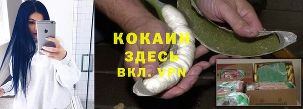 дмт Осинники