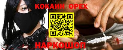 гидропоника Гусев