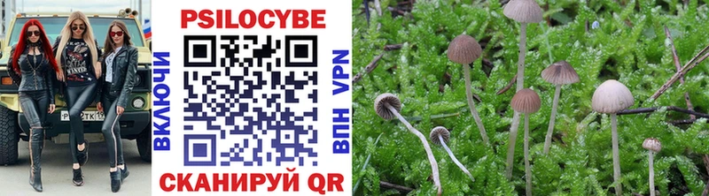Галлюциногенные грибы Psilocybe Киреевск